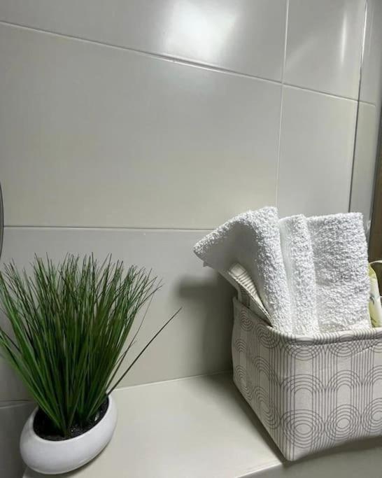 Apartman Element Krusevac Exterior photo