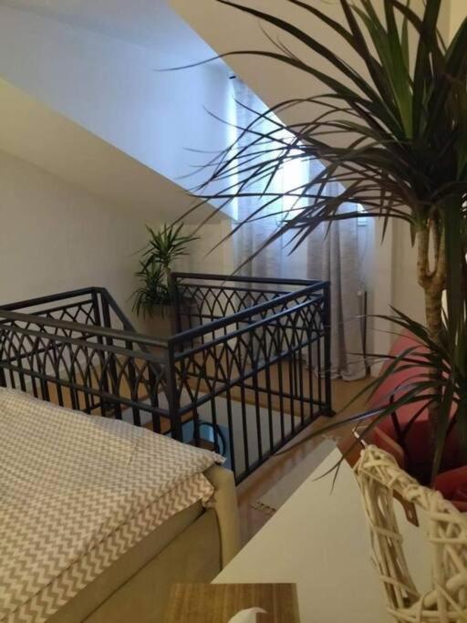 Apartman Element Krusevac Exterior photo